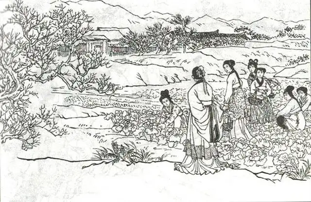 图17