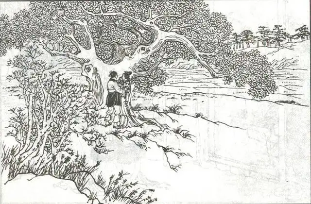 图22